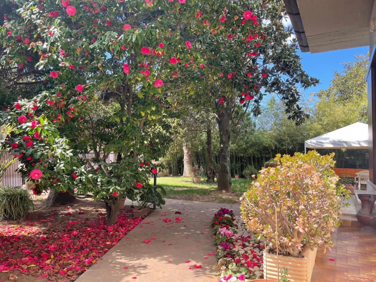 Appartamento In Villa Con Giardino Vicino Al Mare Bella Farnia Extérieur photo