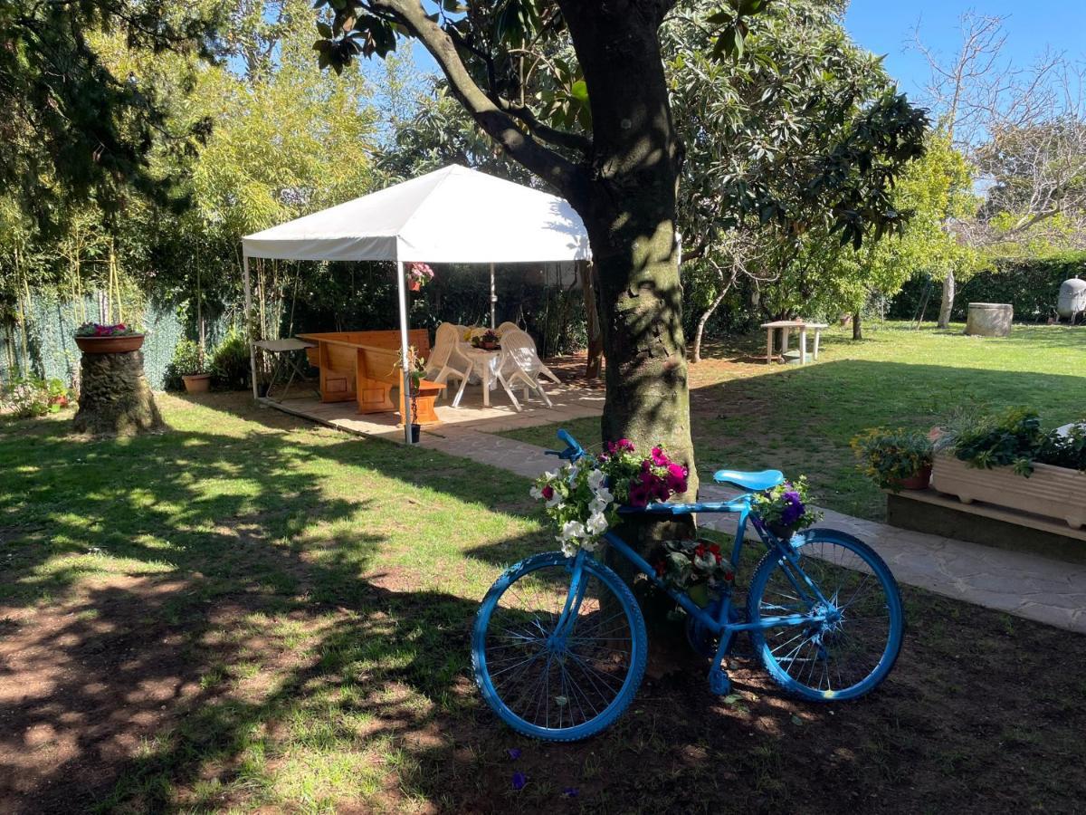 Appartamento In Villa Con Giardino Vicino Al Mare Bella Farnia Extérieur photo