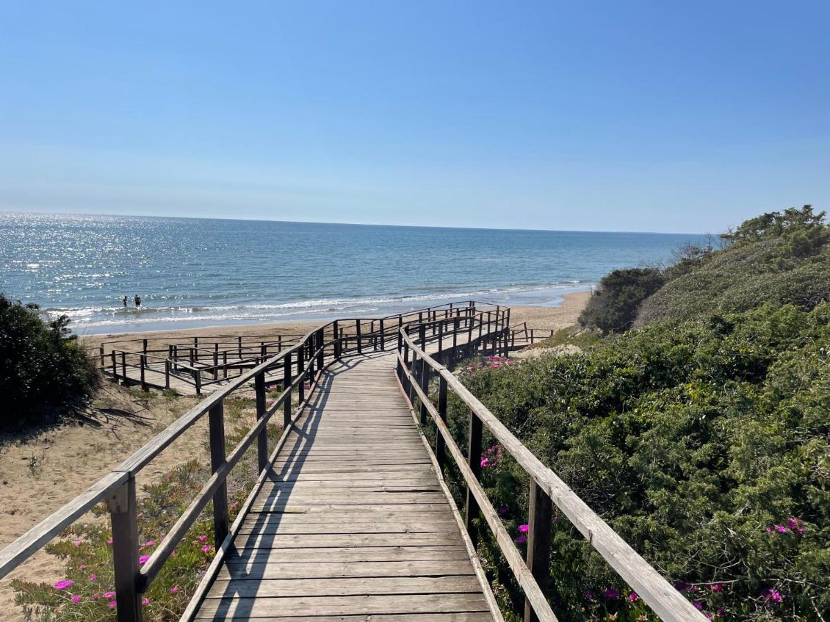 Appartamento In Villa Con Giardino Vicino Al Mare Bella Farnia Extérieur photo